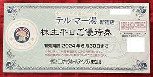 【AK】エコナック　テルマー湯　新宿店　株主平日ご優待券　1枚　天然温泉　有効期限：2024/6/30　速達対応可能