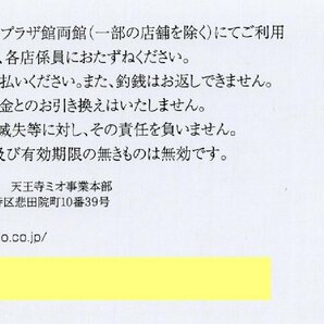 ☆.[1000円分] 天王寺MIO 天王寺ミオ 本館・プラザ館両館 お買物・お食事券 500円x2枚セット 2024/9/30期限の画像2