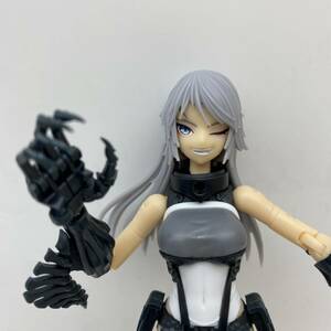 ブロッカーズ FIORE（フィオーレ） ドラセナ＆ネビュラ（通常版）VOLKS　完成品・ジャンク　