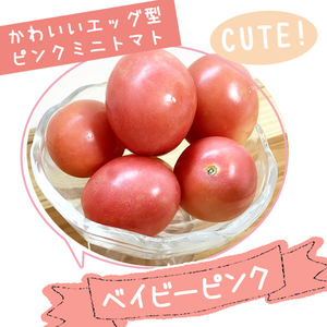 【激レア ピンクミニトマト】ベイビーピンクの種10粒～かわいいエッグ型～