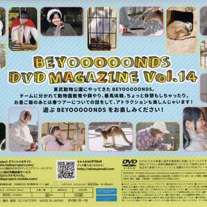 ▽BEYOOOOONDS DVDマガジン Vol.14 （２枚組）▽ビヨーンズの画像2