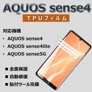 AQUOS sense4 lite 5G フィルム