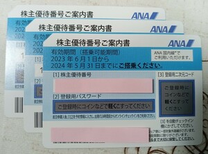 ANA株主優待券3枚2024.5.31迄