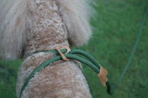 [Hakusan] body . gently Fit make one body harness lead [ rope DE harness lead ]11mm type total length 105cm green 