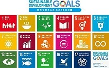 国連ガイドライン対応 SDGs 25mm ゴールドフレーム UNDP ピンバッジ バッチ バッヂ 琅彩 七宝焼 ゴールド！送料無料！_画像5