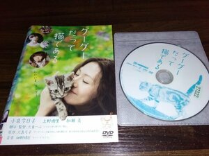 グーグーだって猫である　DVD　小泉今日子　上野樹里　即決　送料200円　417