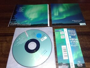 愛は祈りのようだね　Northern Lights　ビリー・バンバン　CD　即決　送料200円　421