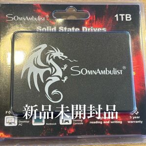 SomnAmbulist 1TB SATA SSD 新品未開封