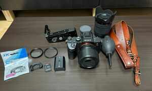 【限定セール中】SONY α7Ⅲシャッター回数#9300