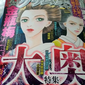 まんがグリム童話２０２４年４月号ぶんか社美醜の大地 藤本治見 安武わたる 竹崎真実 宗教村 葉月つや子 レディースコミックの画像1