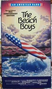 ★極稀VHS★An American Band Beach Boys Brian Wilson ビーチ ボーイズ アメリカン バンド ブライアン ウィルソン 