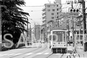 【鉄道写真】都電荒川線 039　7000形