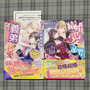 伯爵家のお荷物令嬢なので身を引いたのに、パーフェクトな義弟の執愛から逃げられません！竹輪／ 結婚に愛は必要ですか？ 東万里央