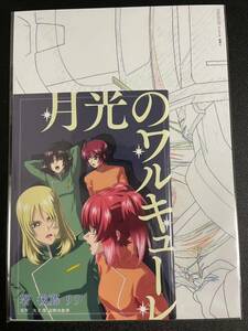 機動戦士ガンダムSEED FREEDOM 入場者プレゼント 新品 未開封 映画 第11弾 小説 月光のワルキューレ 原画イラストカード セット シード