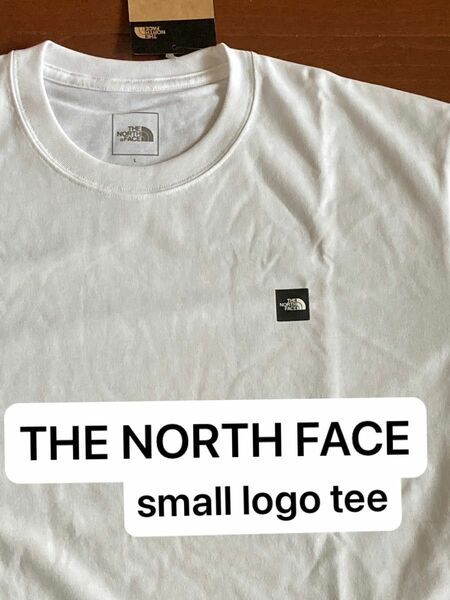 新品　THE NORTH FACE ノースフェイスTシャツ