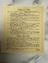 未使用 ちいかわ てんし & あくま 軽量 ラーメンどんぶり ハチワレ うさぎ モモンガ くりまんじゅう シーサー ナガノ 陶磁器 日本製_画像9