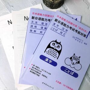 N4 新日本語能力試験考前対策「総まとめ」日本語学習4級　JLPT日本語4級対策