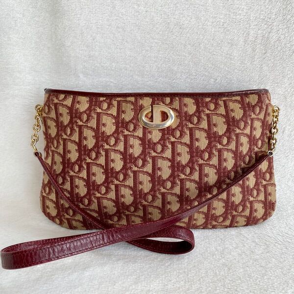 Christian Dior クリスチャンディオール トロッターキャンバスレザー