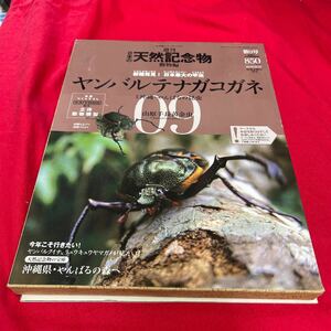 Y429. 27. 週刊　日本の天然記念物 09ヤンバルテナガコガネ　フィギュア　冊子　海洋堂. 未開封　保管品