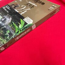 Y430. 8. 絶版◆◆週刊日本の天然記念物24 タヌキ◆◆裏山里山周遊生活 山口県向島☆北海道エゾタヌキ. 未開封　　保管品_画像5