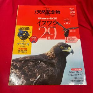 複　Y430. 14. 週刊　日本の天然記念物２９号　イヌワシ　フィギュア　冊子　海洋堂. 未開封　保管品