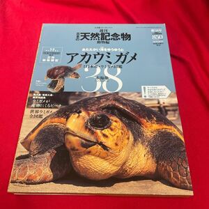 Y430. 22. 未開封 海洋堂 小学館 週刊 日本の天然記念物 38 アカウミガメ. 未開封　保管品