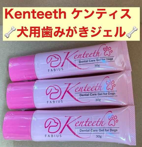 【3本】Kenteeth ケンティス 犬用歯みがきジェル