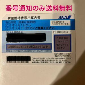 全日空　ANA株主優待 2024年5月末まで　1枚