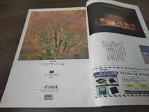 AR-439 アサヒカメラ 1995年 10月 増大号 キャノン EOS55 前田真三 アンティーク 雑誌 昭和レトロ 朝日新聞社 写真 コレクション_画像4