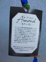 [野風苗木流通]アーモンド ダベイ(32881)全高：87㎝※同梱包は「まとめて取引」手続厳守※120サイズ＊送料明記_画像3