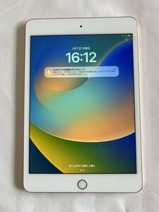 SIMフリーIPad Mini 5 WiFi + Cellular 64GB