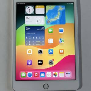 IPad Mini 5 WiFi + Cellular 64GB Silver 