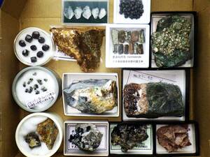 国産鉱物　各産地鉱物標本１3種　