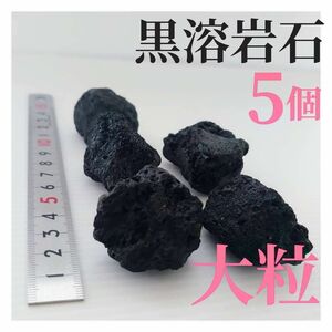 【希少】黒溶岩石 5個 【大粒】☆アクアリウム、テラリウム、コケリウムに最適