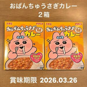 おぱんちゅうさぎ　カレー　ポーク中辛　丸美屋 キラキラシール 食品 レトルト