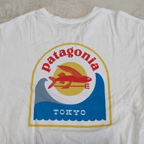 patagonia　patagonia　Tシャツ　限定　メンズ　Ｓ　