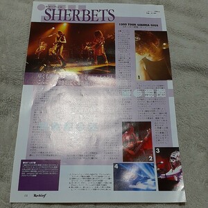 ロッキンf☆記事☆切り抜き☆SHERBETS=ライブレポート『1999 TOUR SIBERIA GIGS/新宿リキッドルーム』▽1HK：19