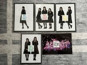 櫻坂４６　８ｔｈシングル　「何歳の頃に戻りたいのか？」　HMV購入者限定生写真　A～D 、通常盤　１４枚