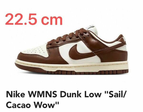 Nike WMNS Dunk Low "Sail/Cacao Wow" DD1503-124