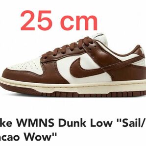 Nike WMNS Dunk Low "Sail/Cacao Wow DD1503-124