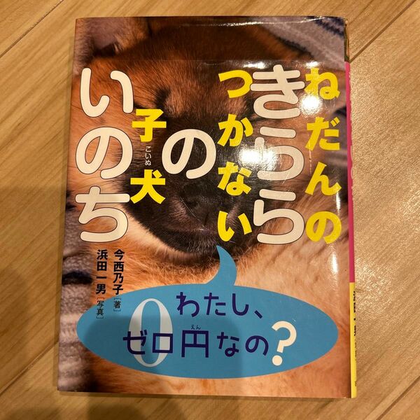 ねだんのつかない子犬きららのいのち 今西乃子／著　浜田一男／写真
