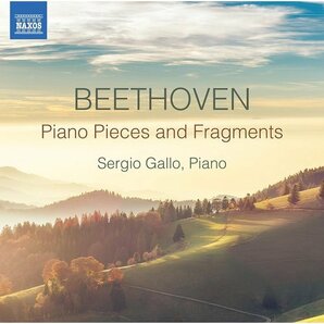 ベートーヴェン:ピアノ小品と断片集 744