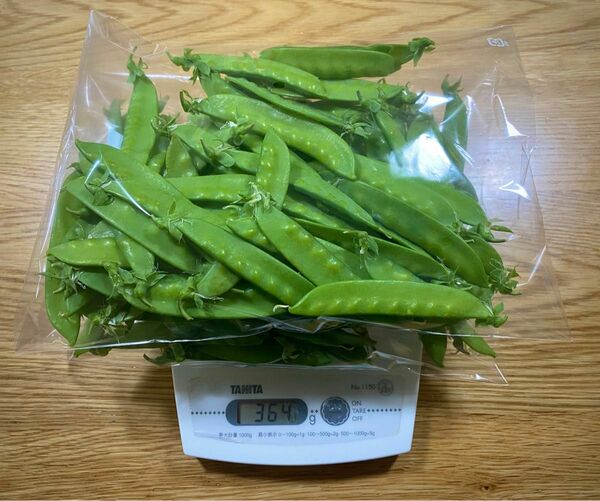 【無農薬新鮮野菜・採れたて】絹さや　内容量350g⑧