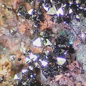 外国産鉱物 塩素と臭素を含む稀産種 マードック鉱 チリの画像1