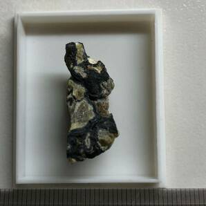 外国産鉱物 日本語情報僅かの稀産種 ウッドラフ石 ザンビアの画像2
