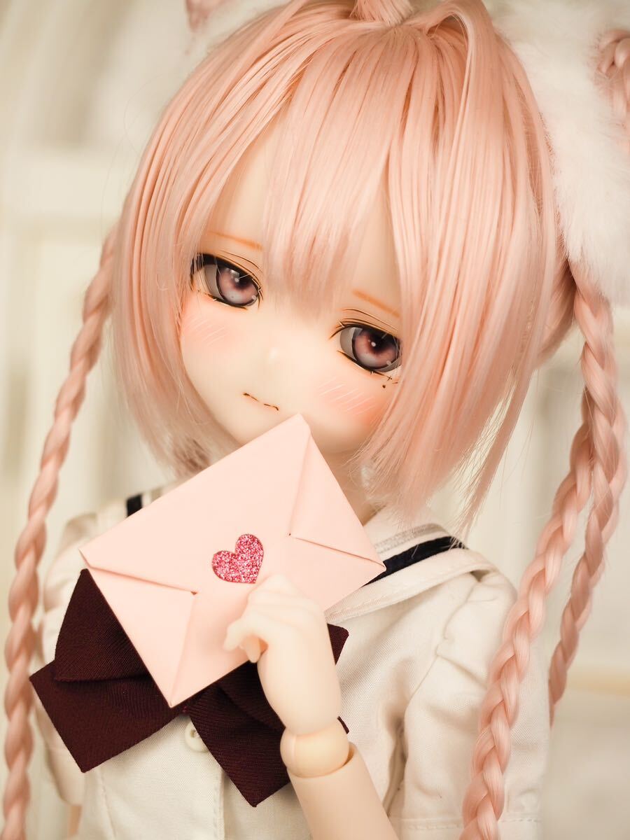 DDH-10 SW Custom Head Soft Vinyl + 1 type of self-made resin eye [Mitonerukko], doll, character doll, dollfie dream, parts