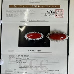  天然血赤珊瑚41.6ｇ サンゴ ブローチ ペンダントトップ ダイヤモンド D0.43ct+0.49ct/Pt900/GEM鑑別書付 coralの画像10