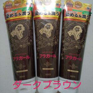 フラガールカラートリートメント (ダークブラウン) ２５０g × ３本 新品未開封