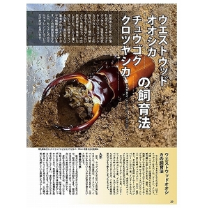 新刊予約受付中2024年ビークワカレンダー付き！代引き不可！ビークワ91号 送料無料！ポイント倍！の画像5