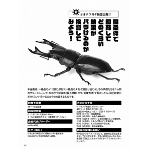 新刊発売中！2024年ビークワカレンダー付き！代引き不可！ビークワ91号 送料無料！ポイント倍！の画像9